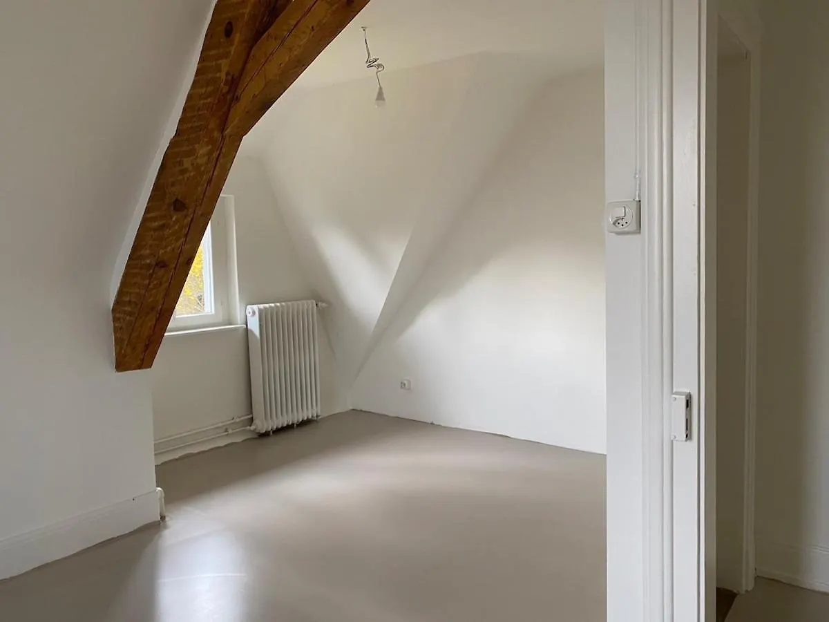 4 Story, 12 Beds, Home Near Eurovision Contest Bazel
